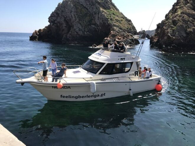 Peniche: Berlenga Island and Cave Tour - Island Exploration and Trails