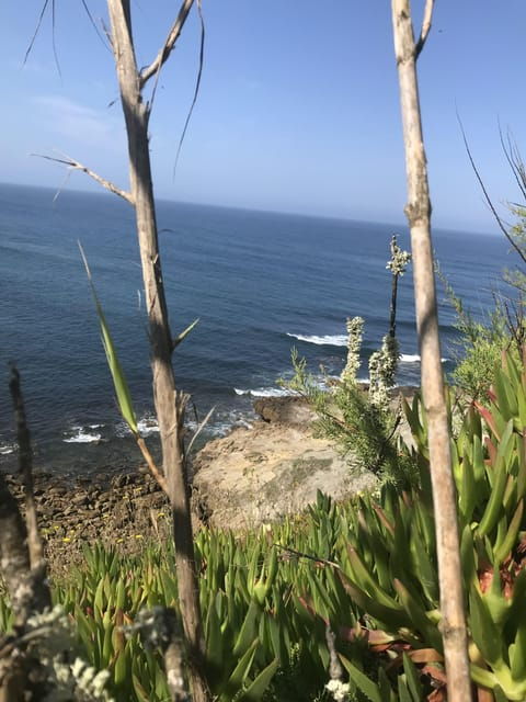 Peniche: Cliff Walking Tour All Along With Atlantic Ocean - Good To Know