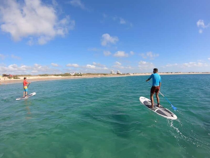 Peniche: SUP Wave Lesson - In-Depth Review of the Peniche SUP Wave Lesson