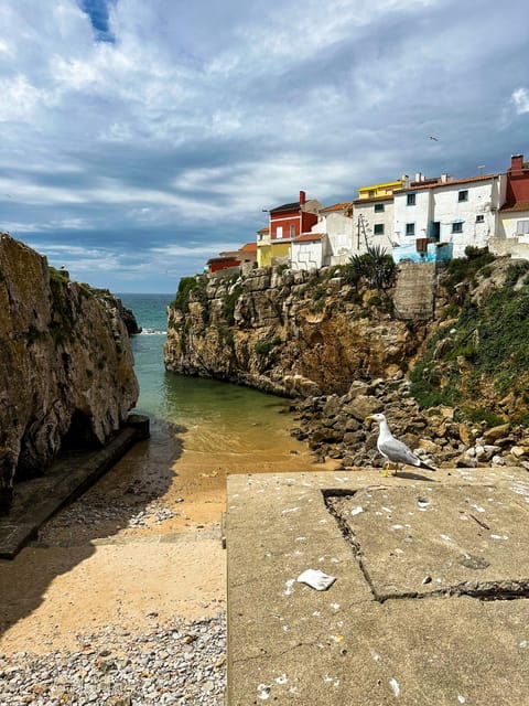 Peniche & West Region: Private Jeep Tour + Lunch - Exclusions and Restrictions