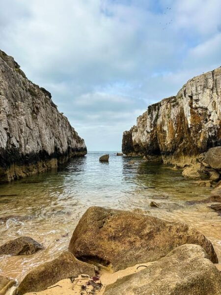Peniche & West Region: Private Jeep Tour + Lunch - Regional Food and Sweets