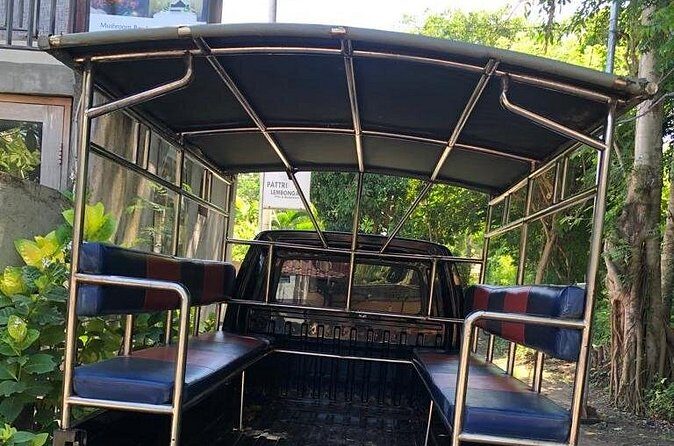 Penida Cab Nusa Penida Taxi Transfer in Nusa Penida Bali - In-Depth Breakdown of the Experience