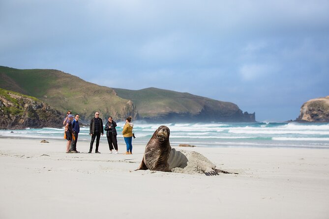 Peninsula Encounters Wildlife Cruise - Tour Details