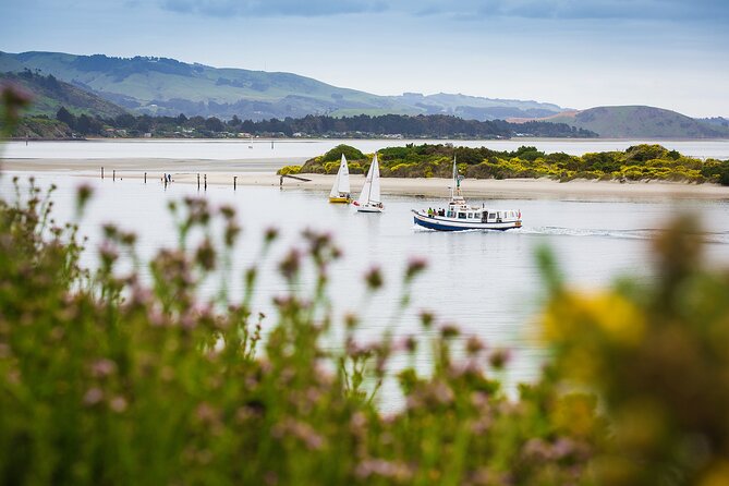 Peninsula Encounters Wildlife Cruise - Reviews
