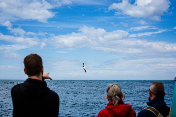 Peninsula Encounters Wildlife Cruise - Directions