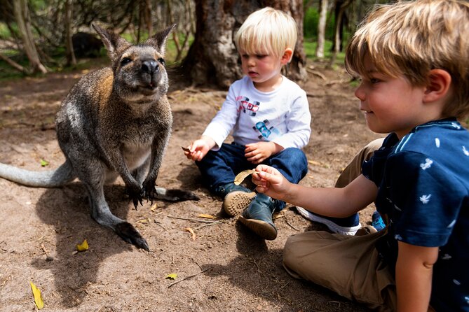 Peninsula Nature Tour - Pickup Location