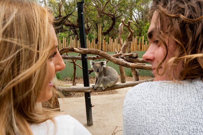 Peninsula Nature Tour - Directions