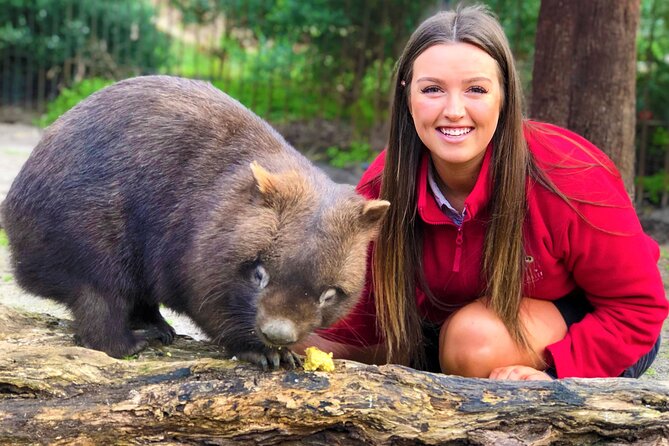 Peninsula Nature Tour - The Sum Up