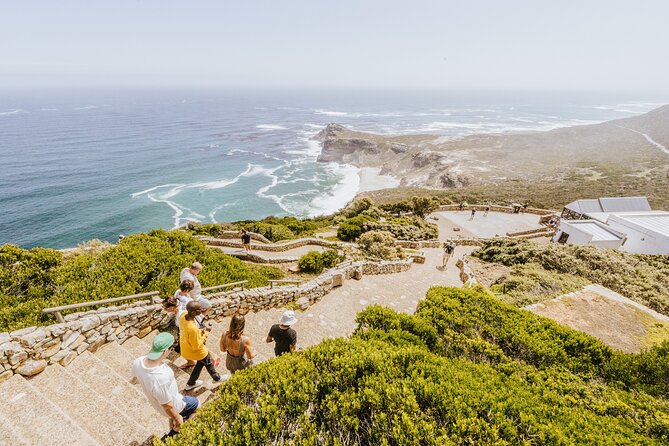 Peninsula Roadtrip: Boulders Beach & Cape Point - Boulders Beach: A Haven for African Penguins