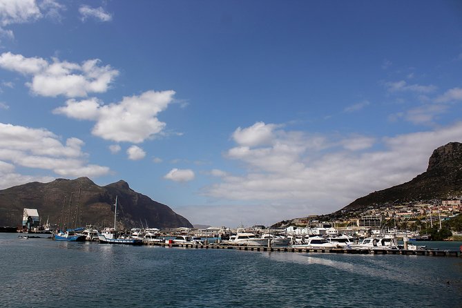 Peninsula Tour Cape Town - Tour Details