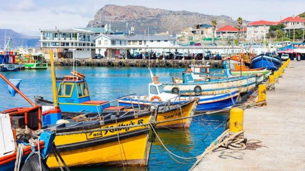 Peninsula Tour: Full Day Cape Point and Penguin Beach - Highlights