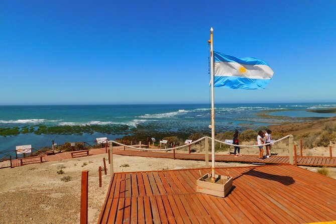 Peninsula Valdes Shore Excursions Tours - Tour Highlights