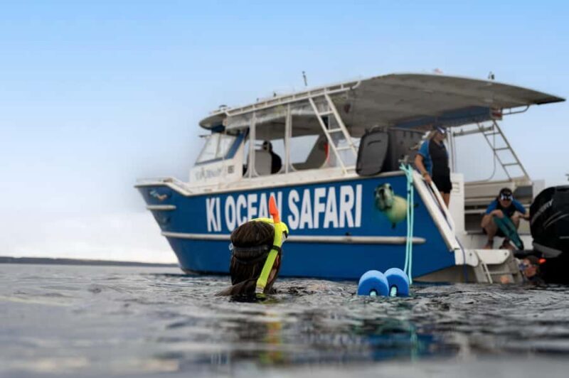 Penneshaw: Kangaroo Island Ultimate Adventure Tour - An In-Depth Look at the Kangaroo Island Ultimate Adventure Tour