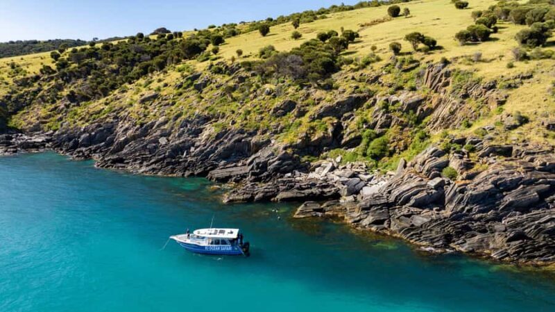 Penneshaw: Kangaroo Island Ultimate Adventure Tour - Who Should Consider This Tour?