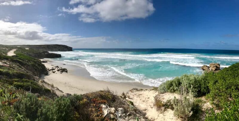 Penneshaw: Shore Excursion Kangaroo Island Scenic Tour - Good To Know