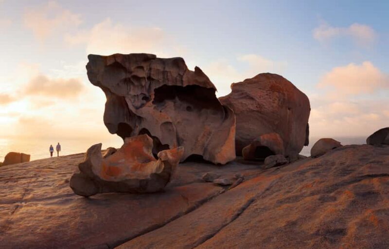 Penneshaw: Shore Excursion Kangaroo Island Scenic Tour - Final Thoughts: Is This Tour Right for You?