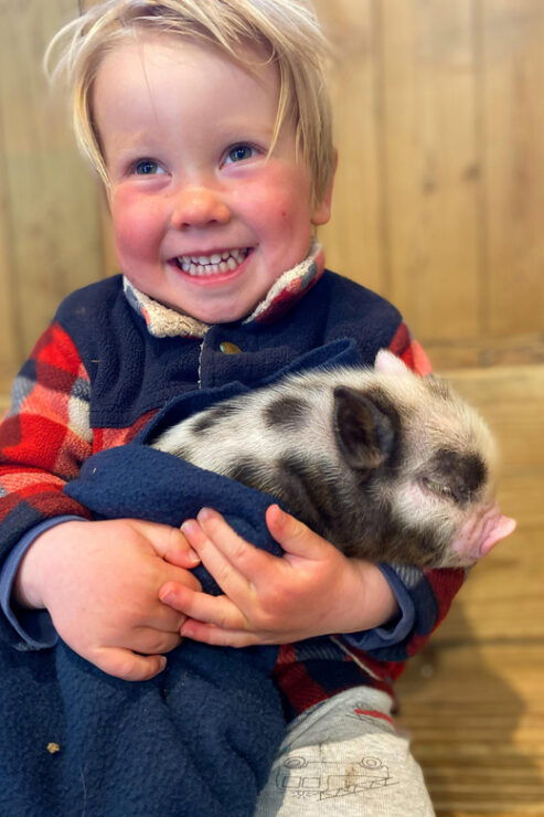 Pennywell Farm: Devons Award Winning Farm - Voted No. 1 - Ticket Information