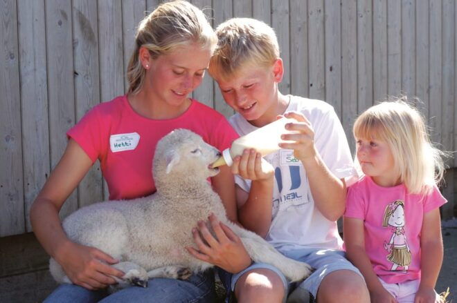Pennywell Farm: Devons Award Winning Farm - Voted No. 1 - Free Rides and Attractions