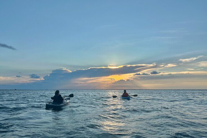 Pensacola Beach Kayak Tour - An In-Depth Look at the Tour Experience