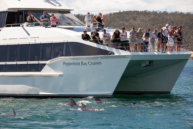 Peppermint Bay Cruise & Lunch - Good To Know