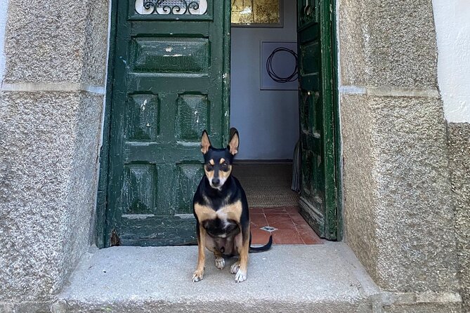 Pequeño Grupo De 2.5 Horas De Tallado De Piedra E Impresión En Bloque - Taller - Madrid - Tools and Materials Provided