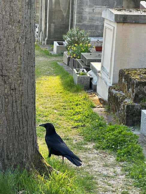Père Lachaise Cemetery Watercolor Postcard Workshop in Paris - Final Thoughts