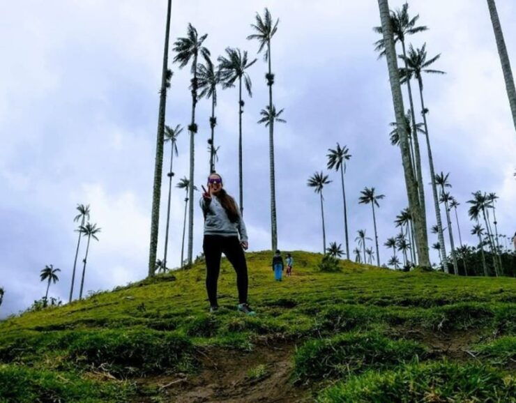 Pereira: Cocora Valley and Salento Guided Hiking Tour - Tour Highlights