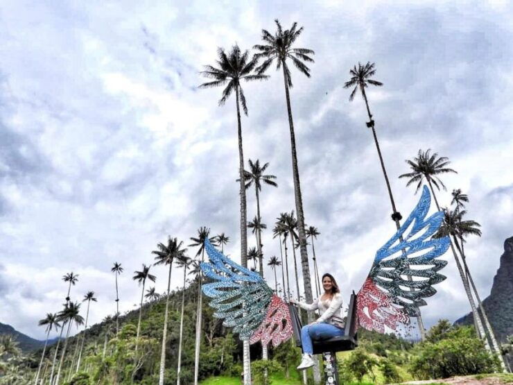 Pereira: Cocora Valley and Salento Guided Hiking Tour - Activity Details