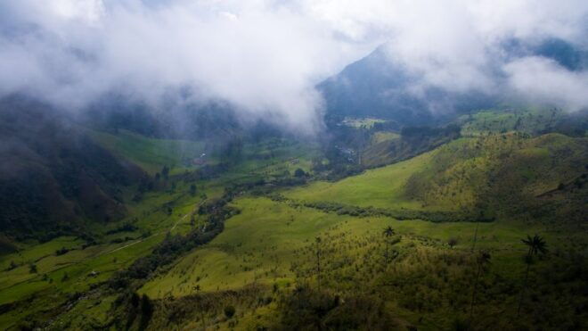Pereira: Cocora Valley and Salento Guided Hiking Tour - Customer Reviews