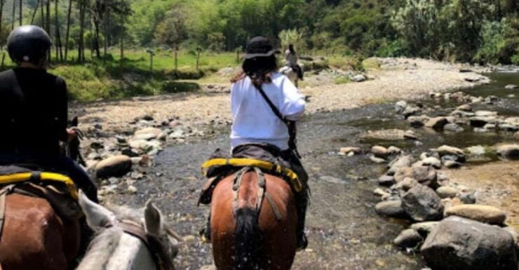 Pereira: Cocora Valley and Salento Tour With Horseback Ride - Tour Details