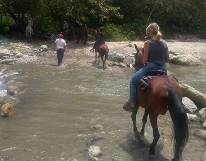 Pereira: Cocora Valley and Salento Tour With Horseback Ride - Logistics