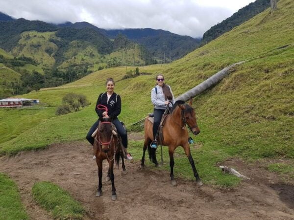 Pereira: Cocora Valley and Salento Tour With Horseback Ride - The Sum Up