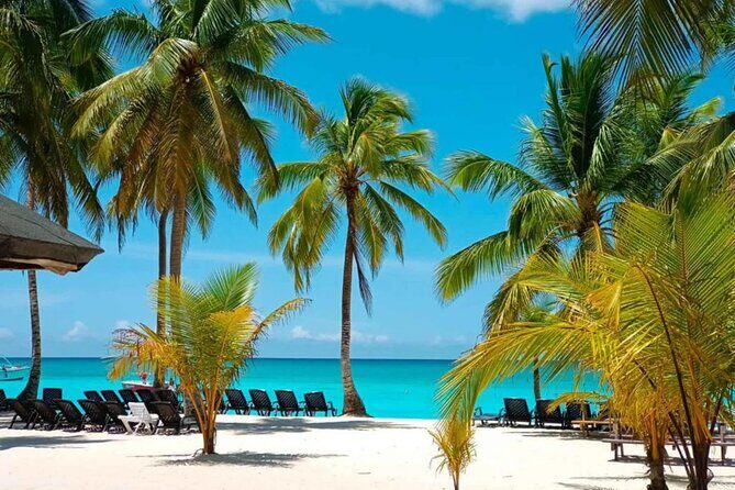 Perfect Day at Saona Island by Speedboat - Completely Private - Perfect Day at Saona Island by Speedboat – Completely Private