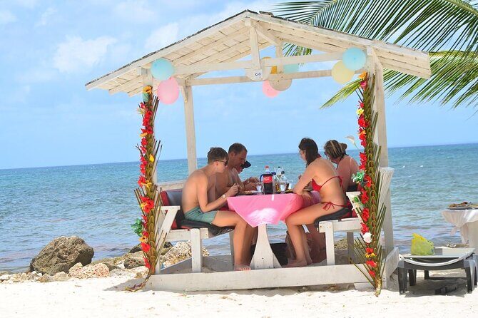 Perfect Day at Saona Island by Speedboat - Completely Private - Who Will Love This Tour?