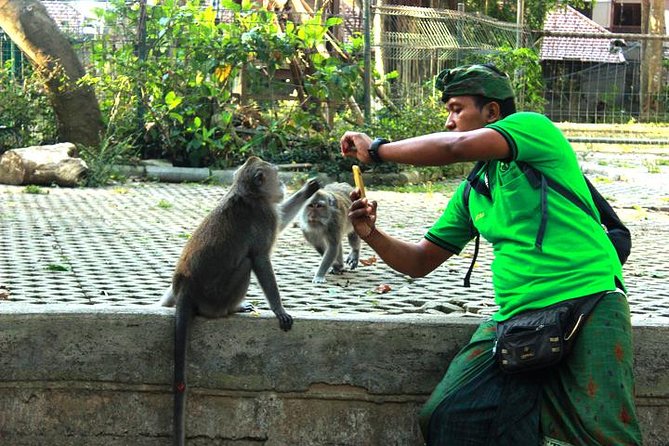 Perfect Day Trip to Ubud - Trip Highlights