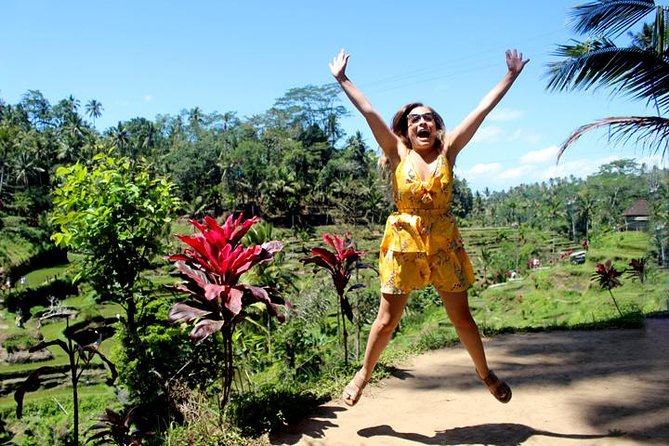 Perfect Day Trip to Ubud - Itinerary Overview