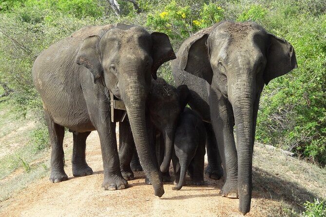 Perfect Holiday in Sri Lanka - Practical Considerations