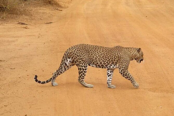 Perfect Holiday in Sri Lanka - FAQs