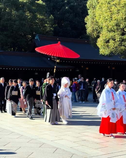 Perfect Start for your Japan Trip - Private Tour in Tokyo - Exploring Tokyo’s Most Famous Districts