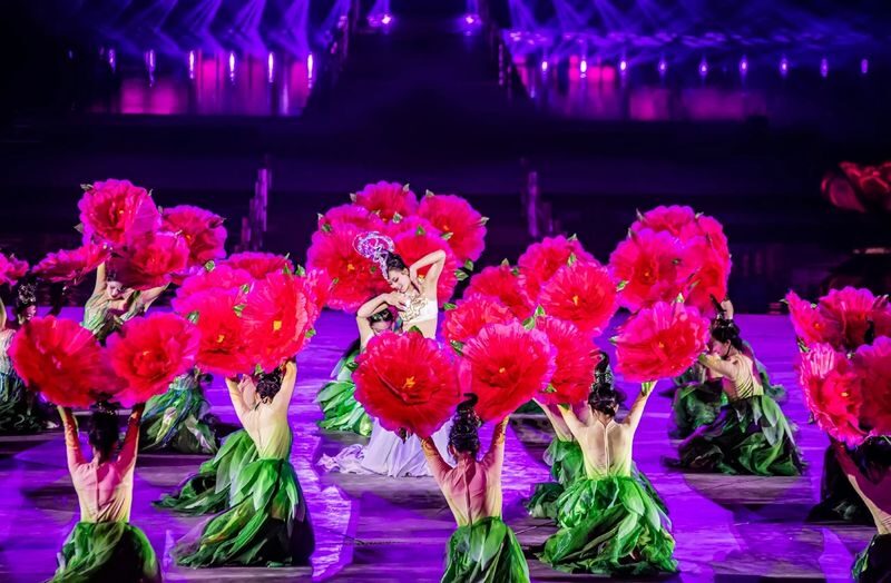 Performance tickets for Phoenix Dance in the Divine Capital in Luoyang + admission tickets to the Jiuzhou Pool of the Sui and Tang Luoyang City - Plan your evening around the 20:10 start
