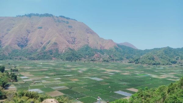 Pergasingan Hill Trek: Unveiling the Beauty of Sembalun - Essential Packing List