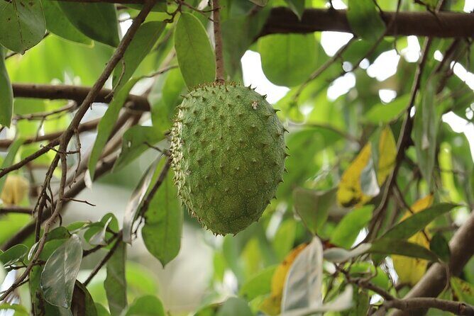 Periyar from Cochin - a Two Day Tour - In-Depth Review of the Two-Day Periyar Tour