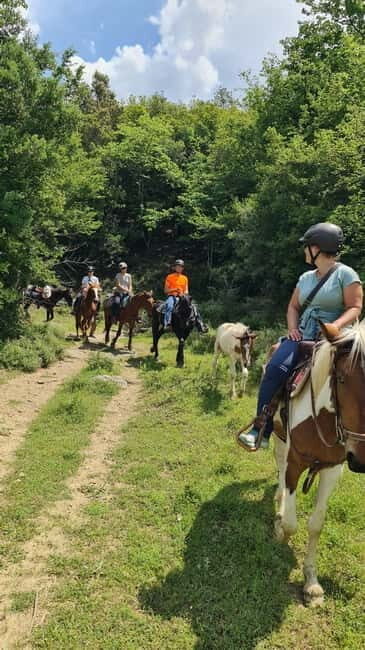 Përmet: Amazing Horse Riding Experience at Vjosa NP - FAQs