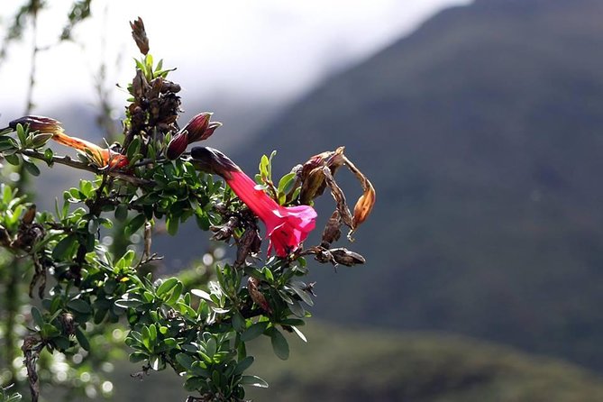 Perolniyoc Waterfall Trek 1 Day - Huaynas Expeditions - Additional Information