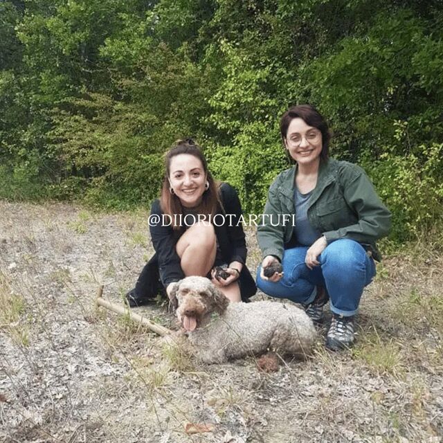 PERONATTO FOR TWO+ TRUFFLE HUNTING, LOCAL TASTING + PRIVATE SPA - A Practical Review of the Peronatto for Two Experience in Molise, Italy