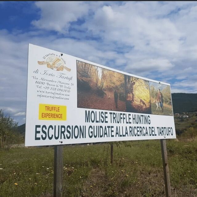 PERONATTO FOR TWO+ TRUFFLE HUNTING, LOCAL TASTING + PRIVATE SPA - The Sum Up: Who Will Appreciate This Experience?