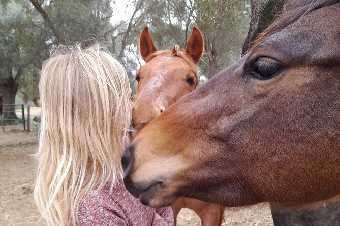 Personal Coaching Assisted With Horses - Overview of Personal Coaching With Horses
