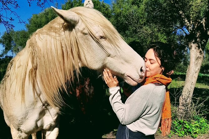 Personal Coaching Assisted With Horses - Meeting and Pickup Details for the Activity