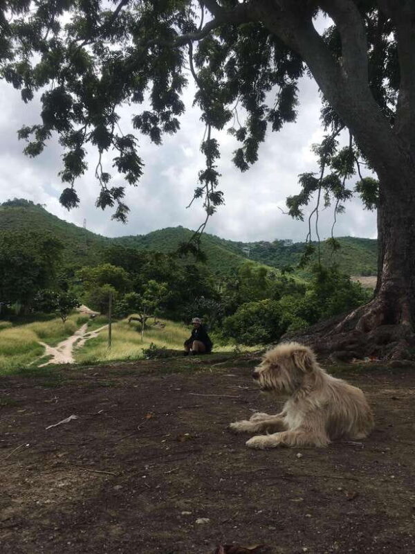 Personal Guide to Starbuk's Banawa, Cebu City - Personal Guide to Starbuks Banawa, Cebu City