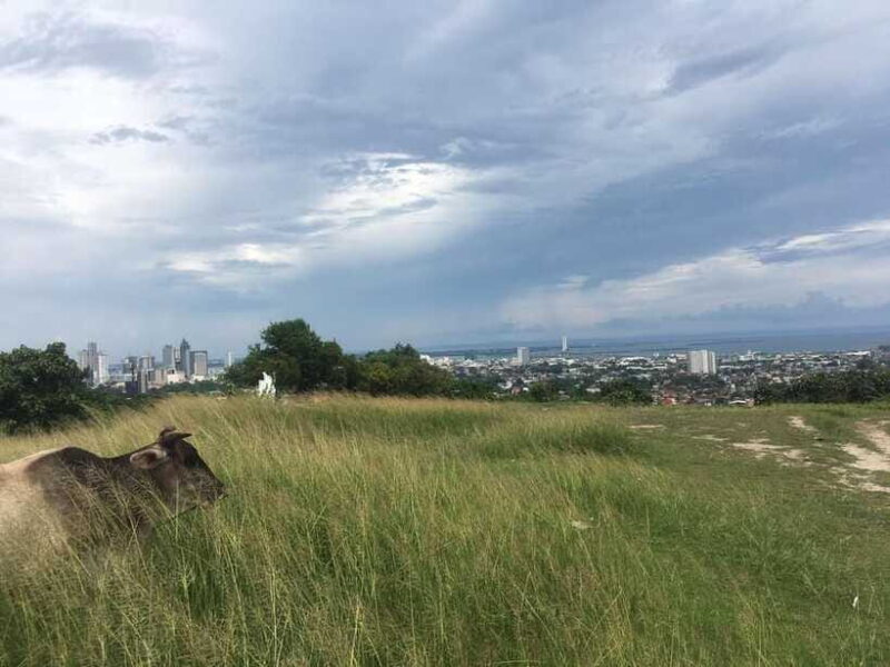 Personal Guide to Starbuk's Banawa, Cebu City - FAQ